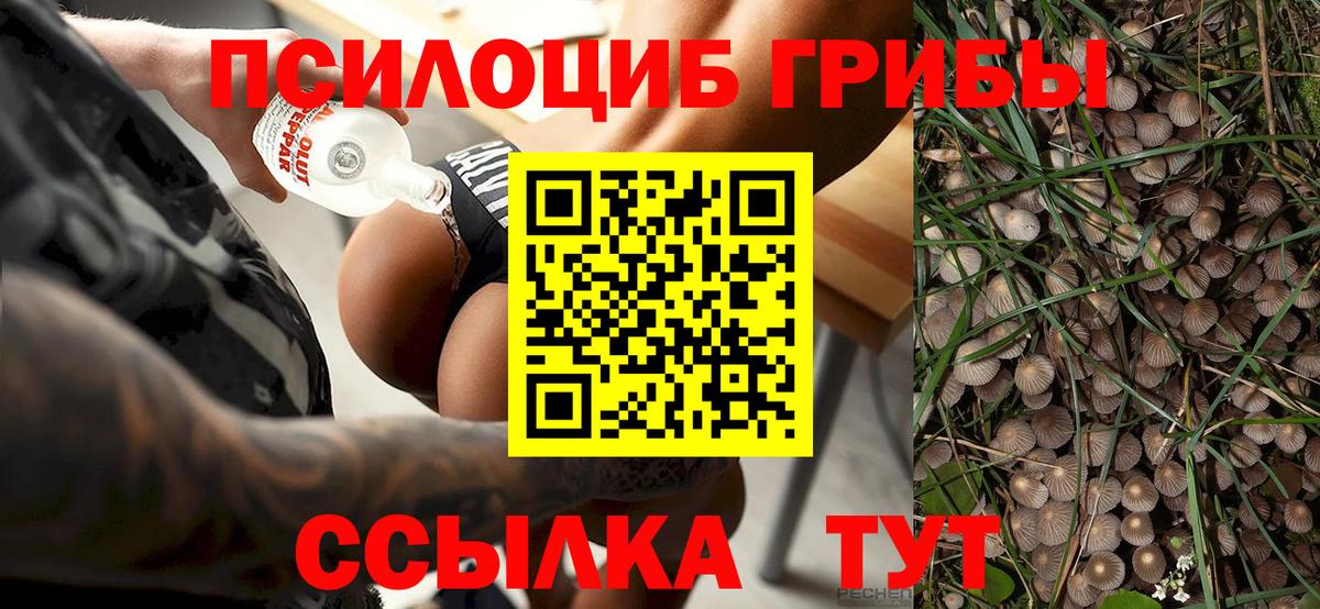 Дмитров  Псилоцибиновые грибы мухоморы  Псилоцибиновые грибы MAGIC MUSHROOMS  Вход с VPN 